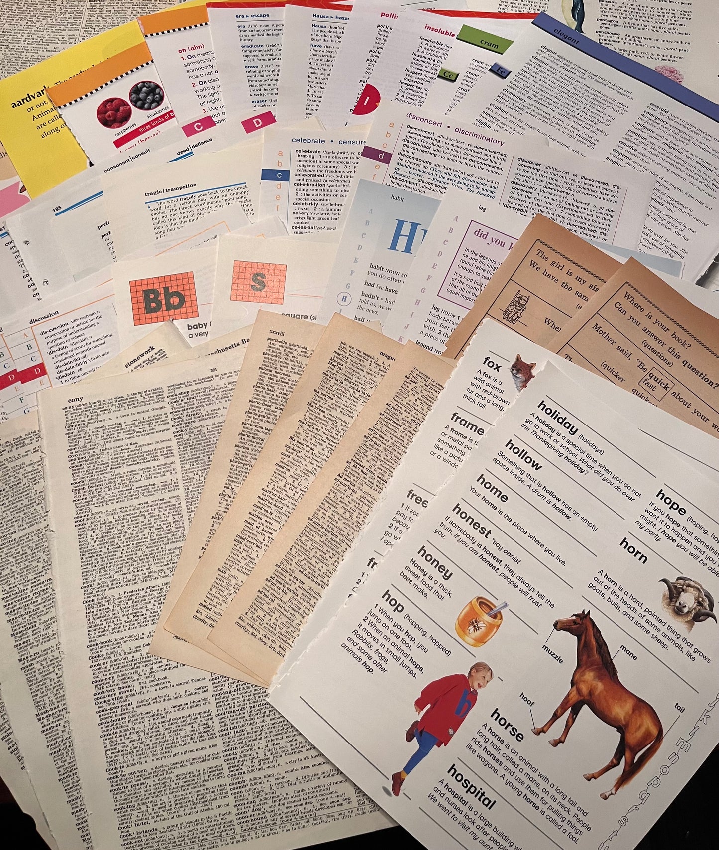 dictionary page pack
