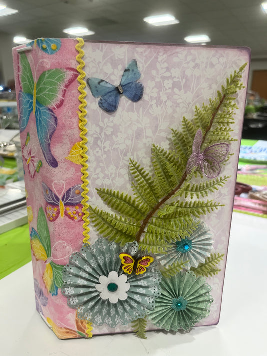 Beautiful Butterfly JJ class