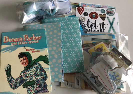 Donna Parker Winter Fun