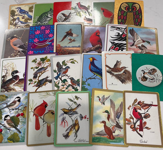 card packs - birds