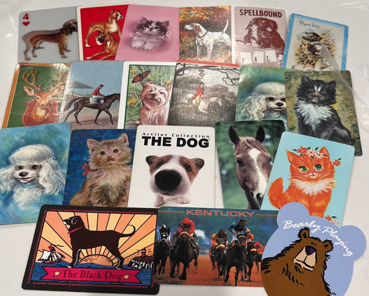 card pack - animals